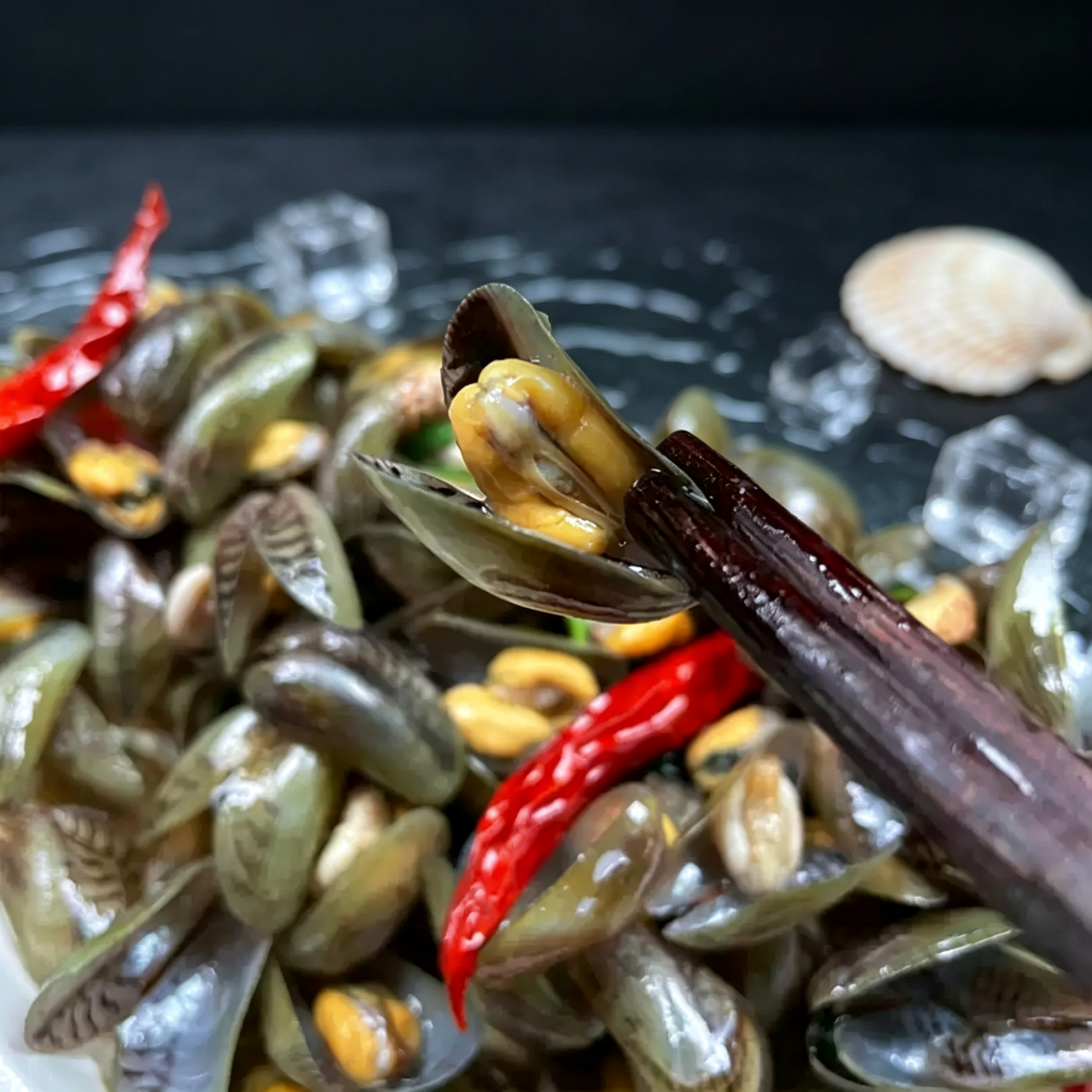 Fresh Live Sea Clams